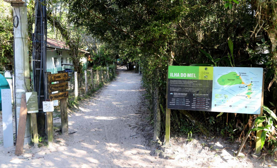 IAT promove observação de aves guiada na Ilha do Mel