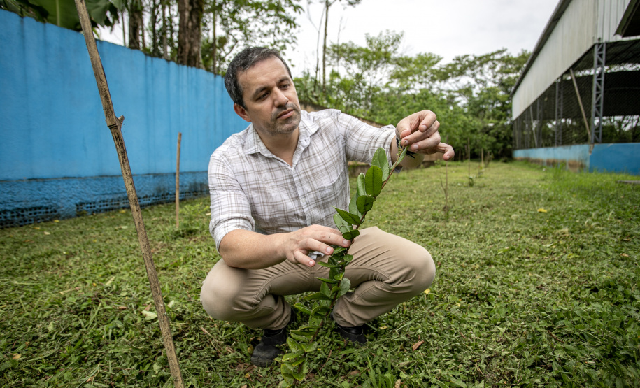 PORTOS DO PARANÁ INVESTIMENTO
