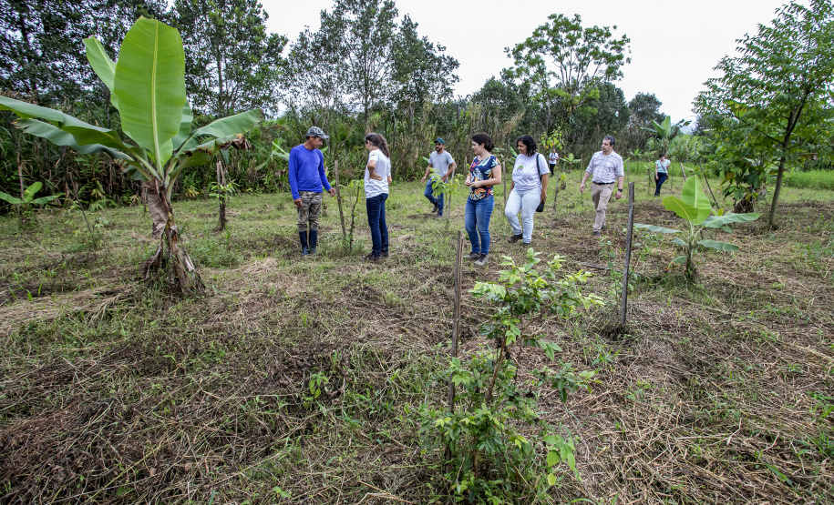 PORTOS DO PARANÁ INVESTIMENTO