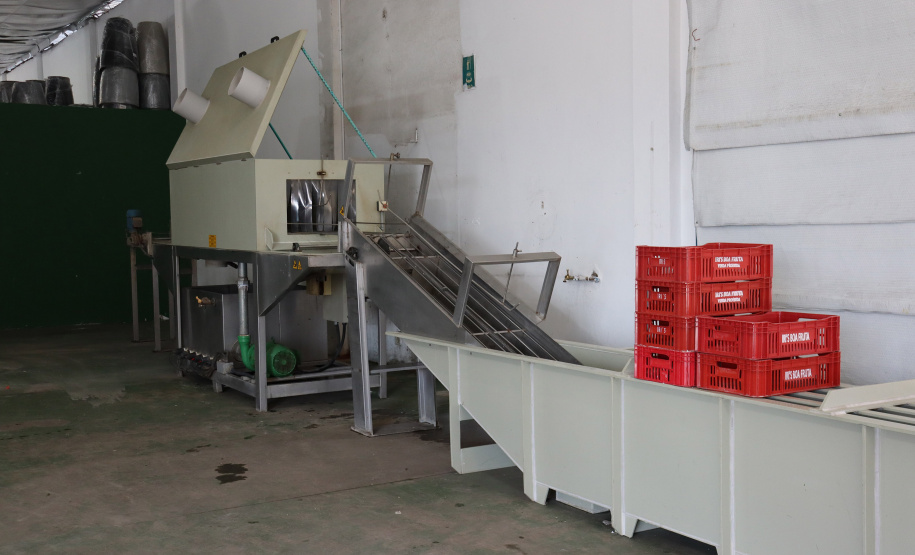 CEASA HIGIENIZAÇÃO CAIXAS