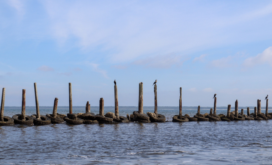 RETIRADA LIXO ILHA DO MEL