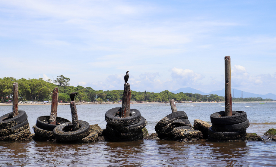 RETIRADA LIXO ILHA DO MEL