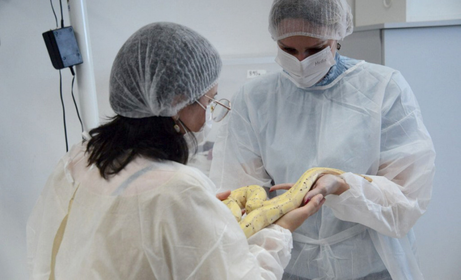 EDUCAÇÃO aMBIENTAL