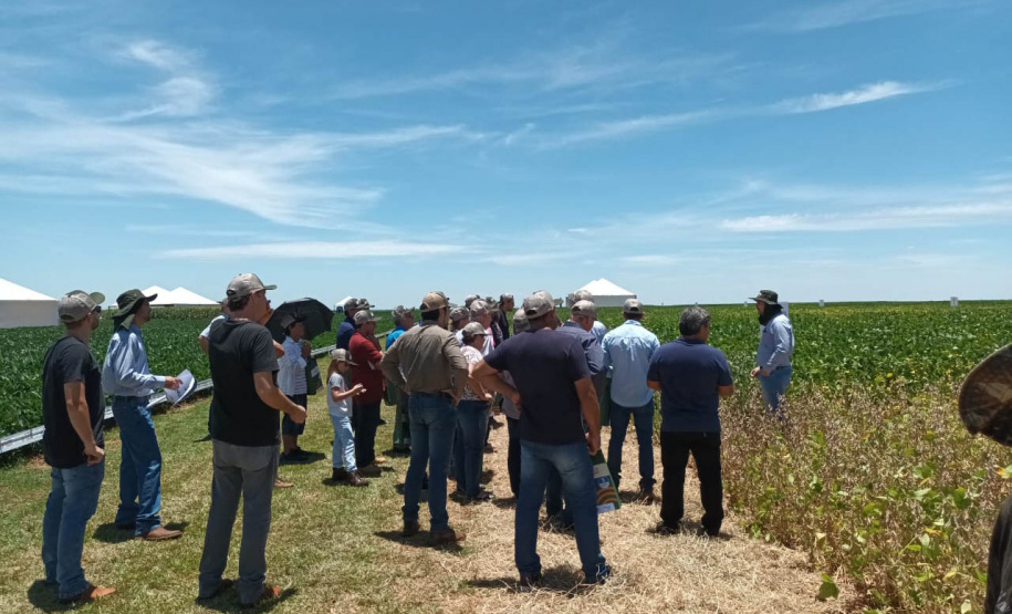 Dias de Campo divulgam inovação e boas práticas agrícolas no Oeste do Paraná