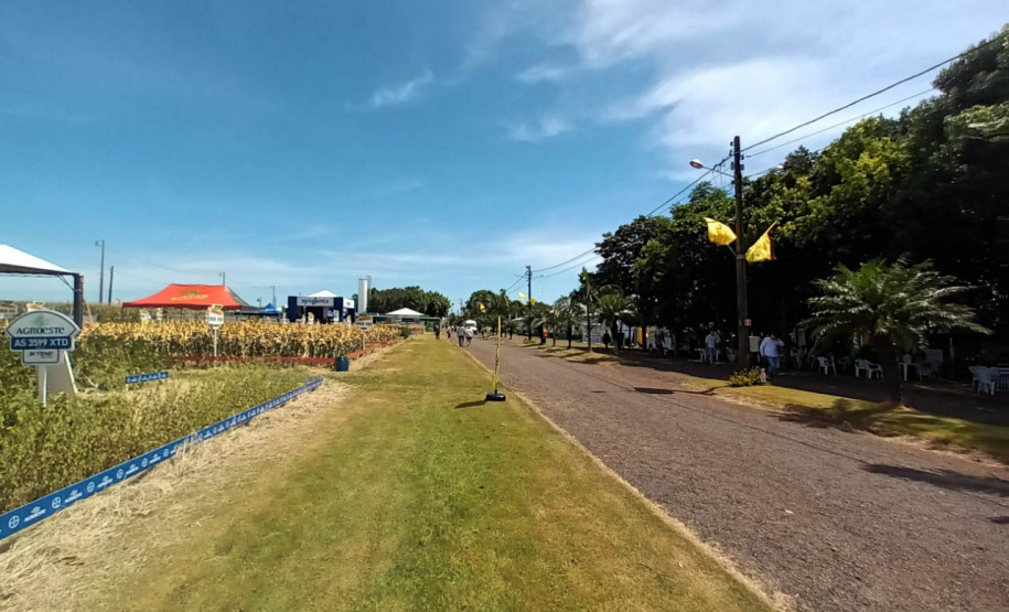 Dias de Campo divulgam inovação e boas práticas agrícolas no Oeste do Paraná