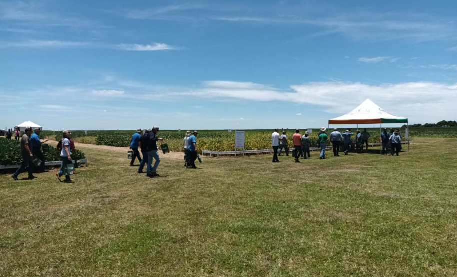 Dias de Campo divulgam inovação e boas práticas agrícolas no Oeste do Paraná