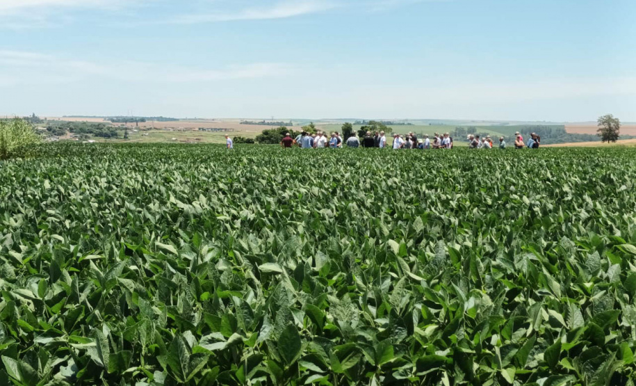 Dias de Campo divulgam inovação e boas práticas agrícolas no Oeste do Paraná