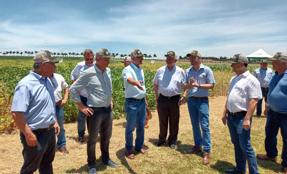 Dias de Campo divulgam inovação e boas práticas agrícolas no Oeste do Paraná