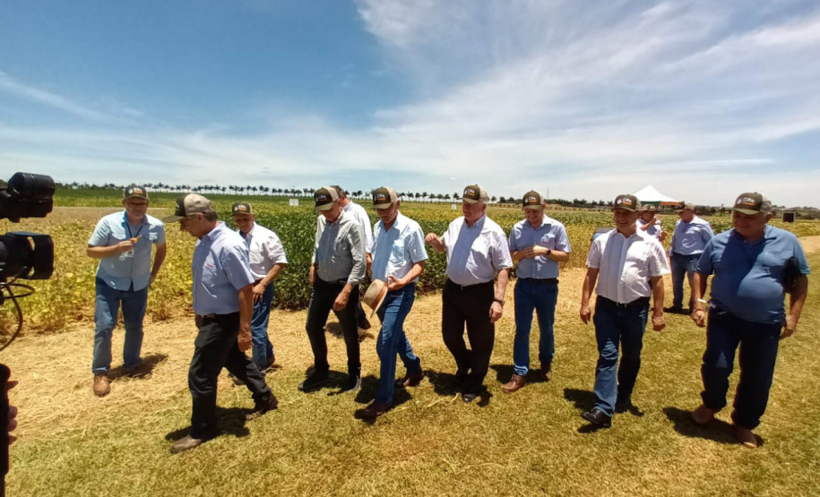 Dias de Campo divulgam inovação e boas práticas agrícolas no Oeste do Paraná