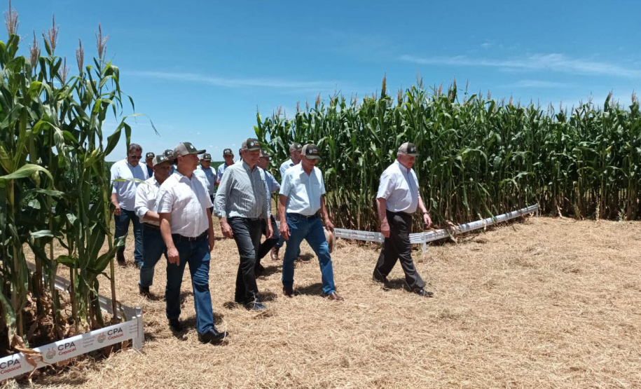 Dias de Campo divulgam inovação e boas práticas agrícolas no Oeste do Paraná