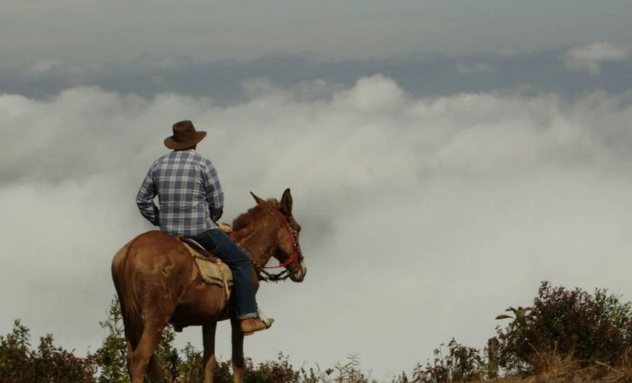 Romaria Tropeira vai percorrer a Rota do Rosário unindo tradição e religiosidade