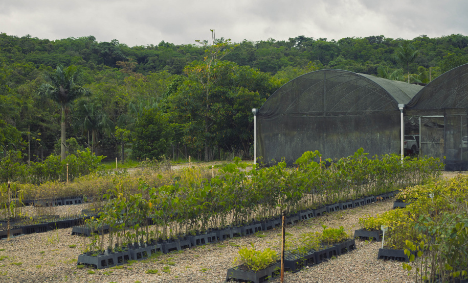 IAT VIVEIRO MORRETES