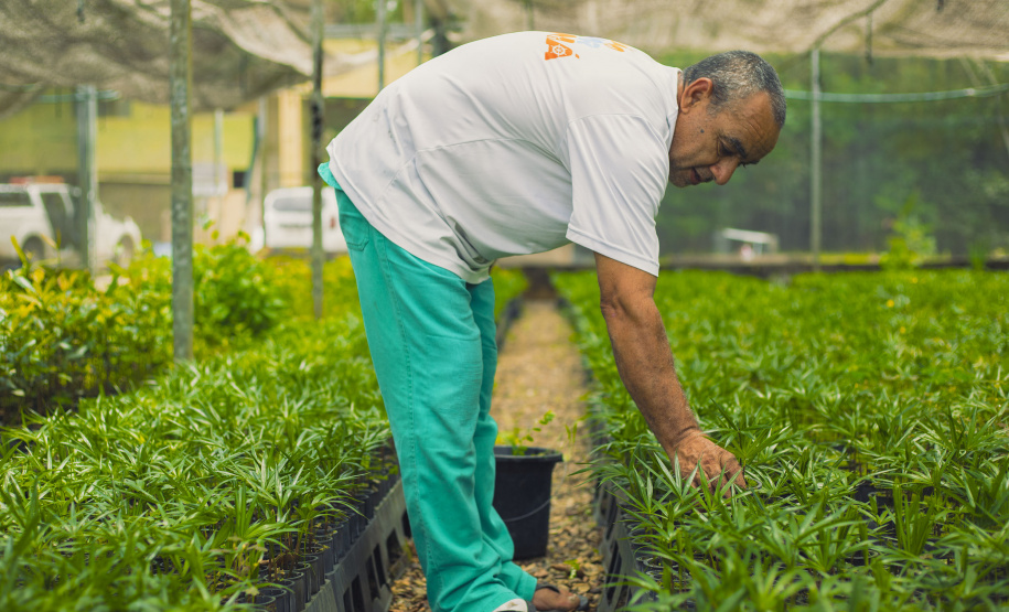 IAT VIVEIRO MORRETES