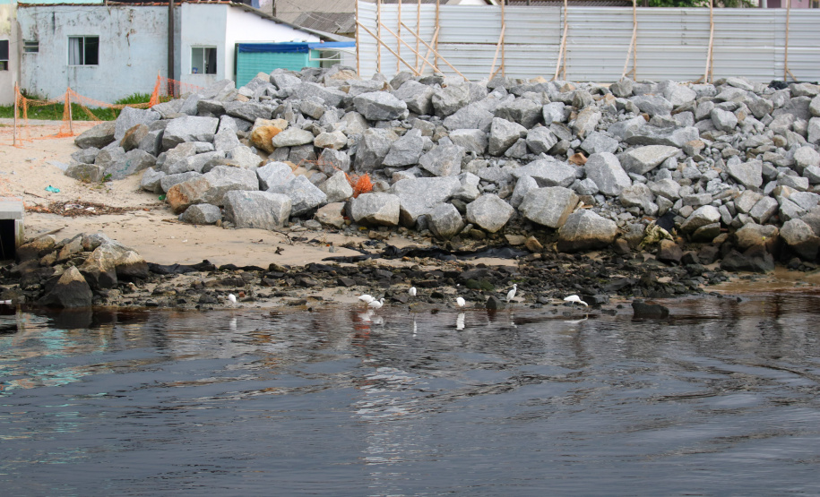 Com revitalização da Orla, canal do Rio Matinhos vira refúgio para biguás e garças