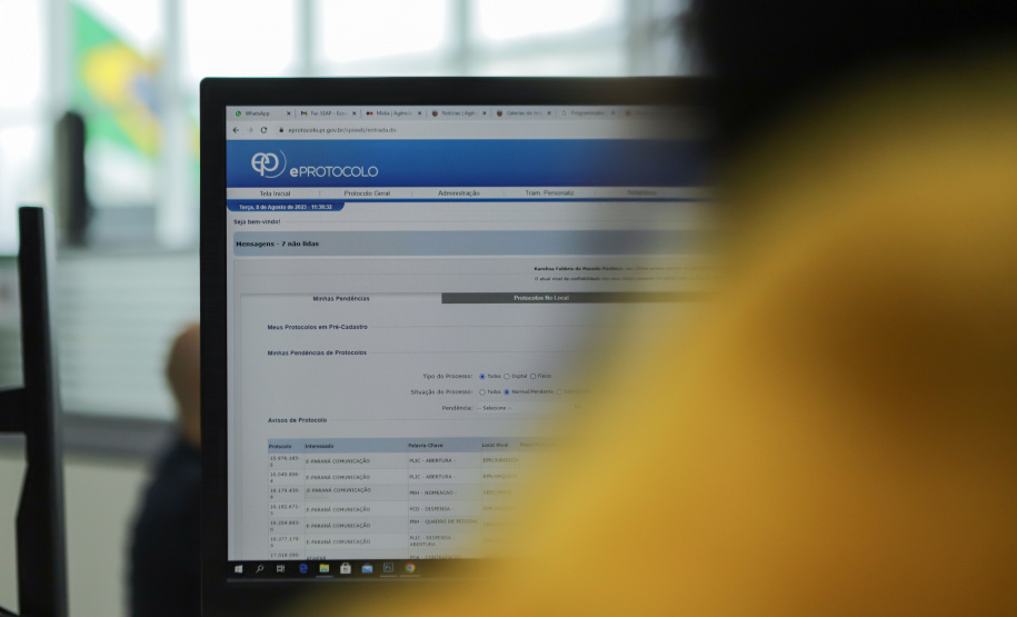 SEAP EPROTOCOLO 10 ANOS