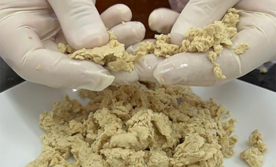 FUNDAÇÃO ARAUCÁRIA - PROTEÍNAS ALTERNATIVAS