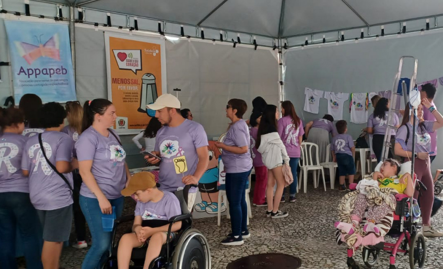 SESA FEVEREIRO LILÁS