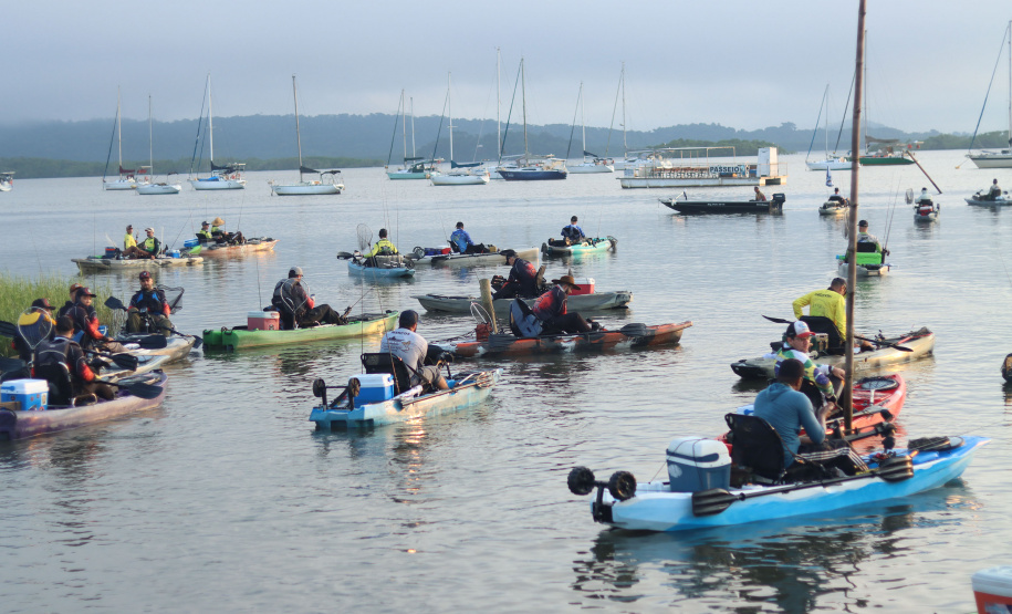 ESPORTE COMPILADO SURF PESCA