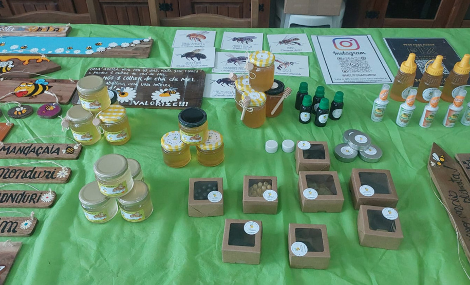 SEAB MELIPONICULTURA