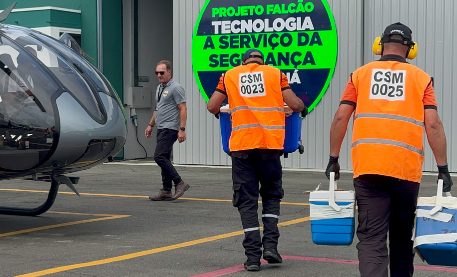 TRANSPORTE ORGÃO
