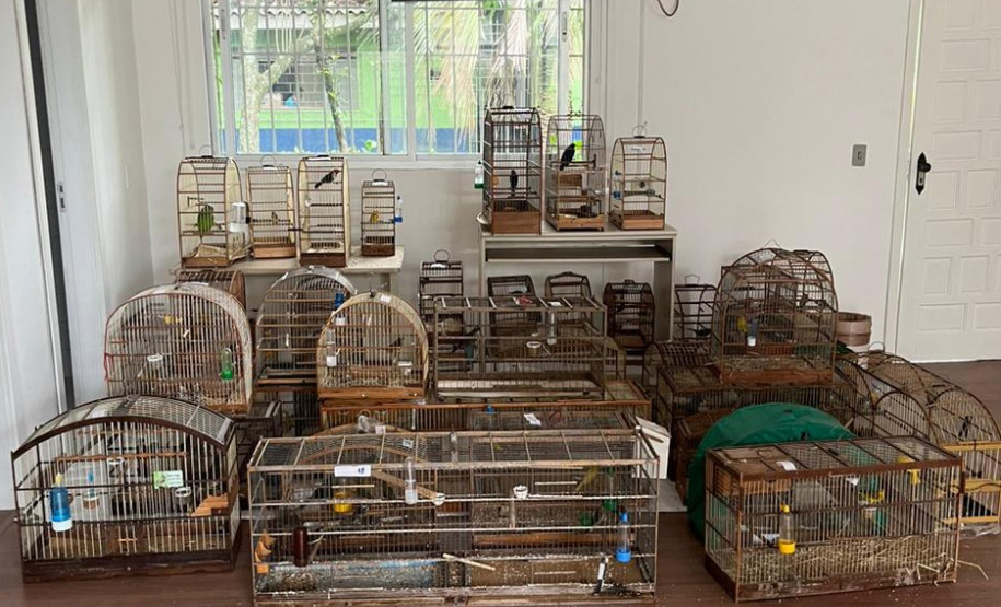 IAT ANIMAIS RESGATADOS