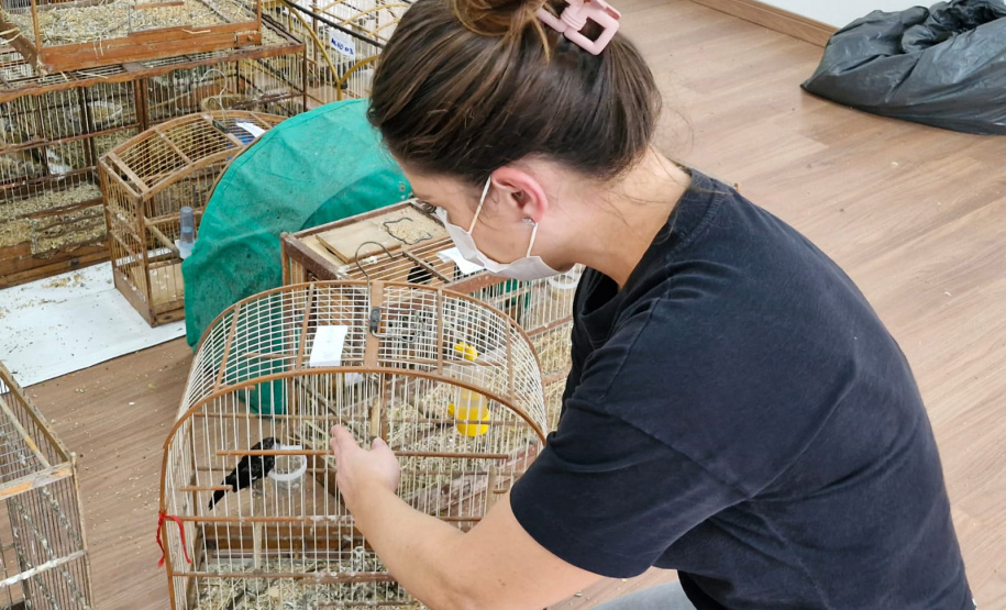 IAT ANIMAIS RESGATADOS