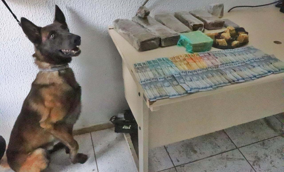 Forças de segurança cumprem 22 mandados de busca e apreensão no Litoral