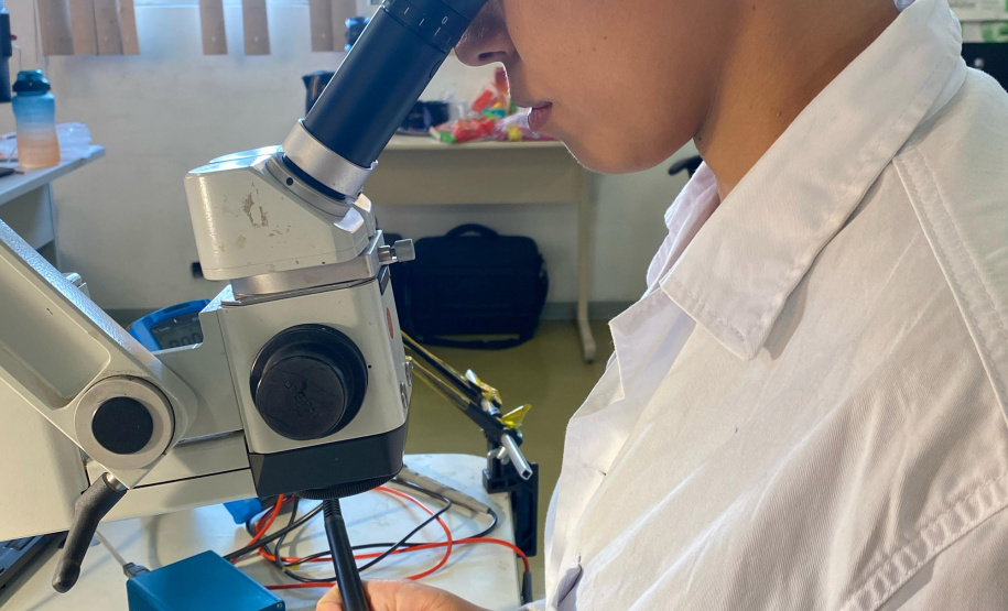 POLICIA CIENTIFICA COMPUTAÇÃO FORENSE RECORDE