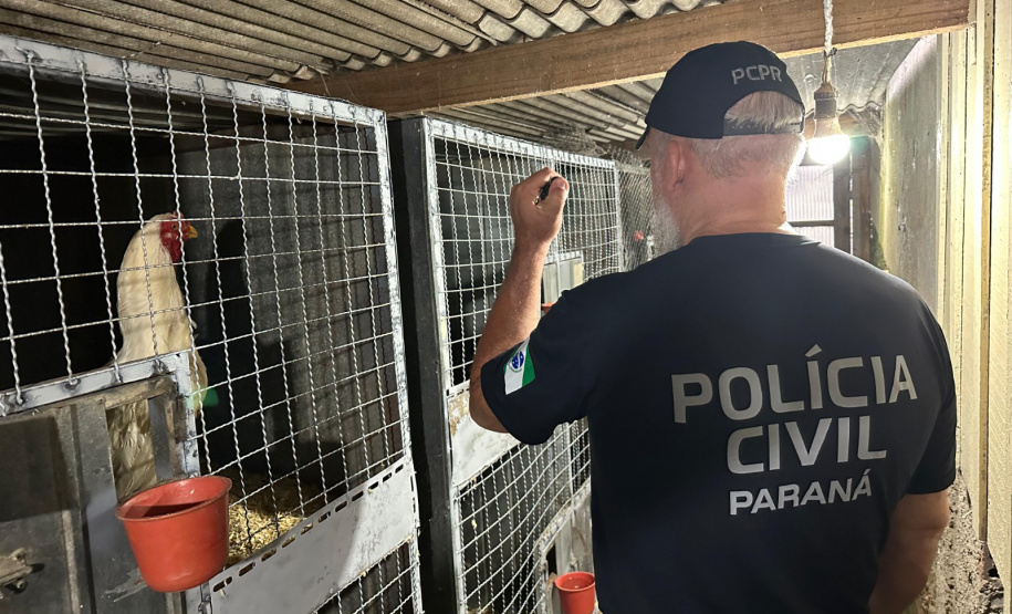 PCPR deflagra operação contra organização ligada ao tráfico de animais silvestres em todo país