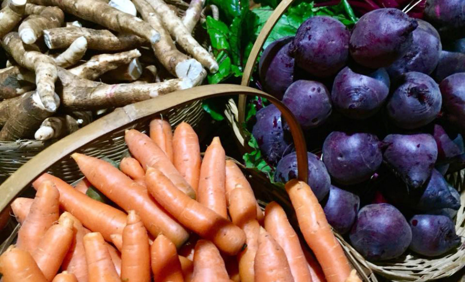 Políticas do Estado ampliam acesso à alimentação saudável no combate à obesidade