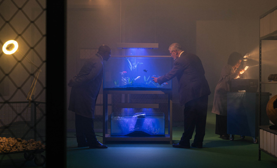 Campanha Interlúdio - IV Edital de Ocupação do Espaço Vitrine