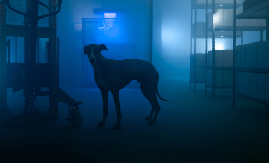 Campanha Interlúdio - IV Edital de Ocupação do Espaço Vitrine