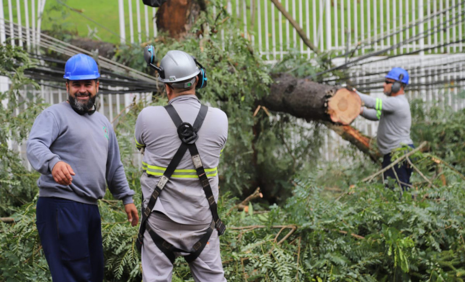 Copel restabelece energia em 95% das unidades consumidoras afetadas pelo temporal
