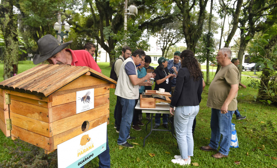 POLINIZA PARANÁ