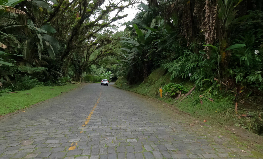DER Estrada da Graciosa