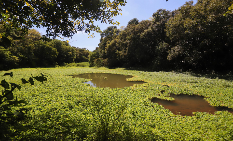 ICMS por Biodiversidade: municípios têm até 30 de abril para cadastrar novas áreas
