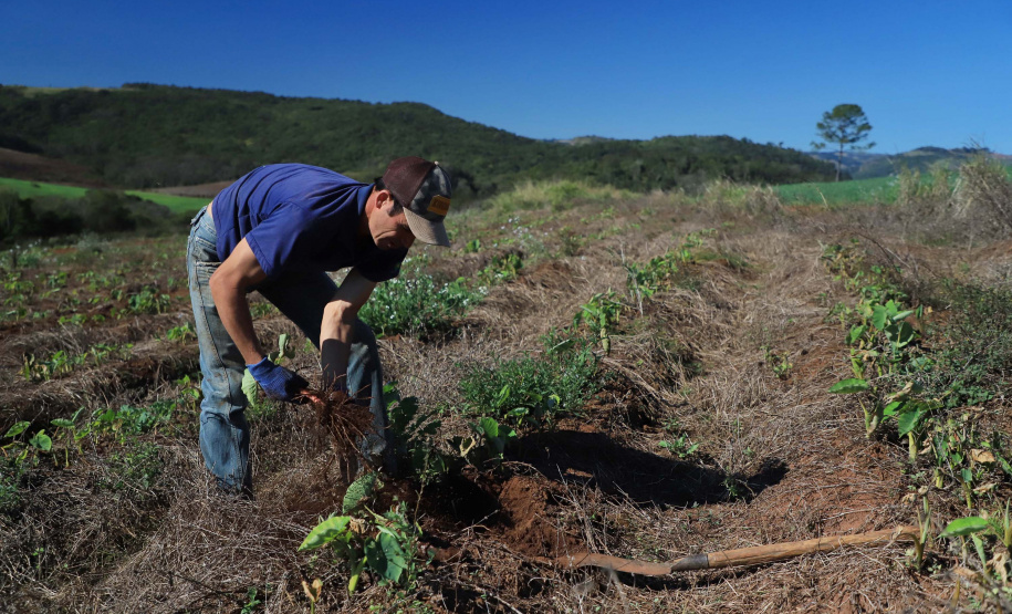 Prova do concurso da Adapar acontece neste domingo em seis cidades do Paraná