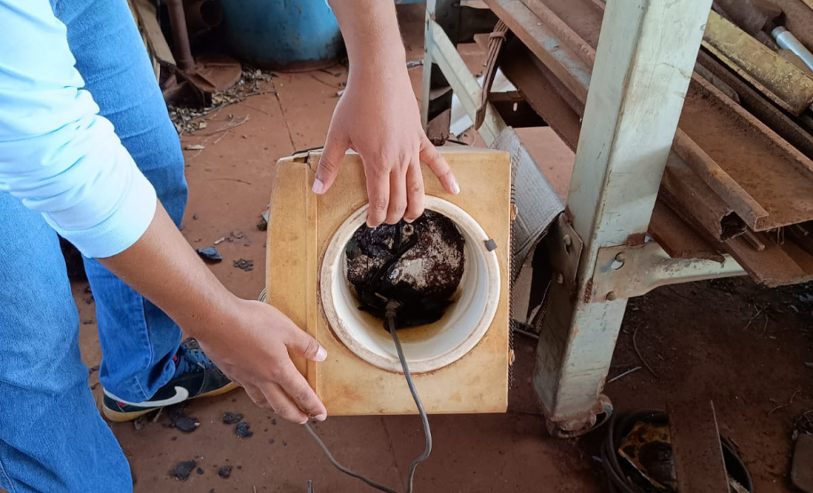 Limpeza e conscientização: ações do Dia D da dengue acontecem em todo o Paraná neste sábado