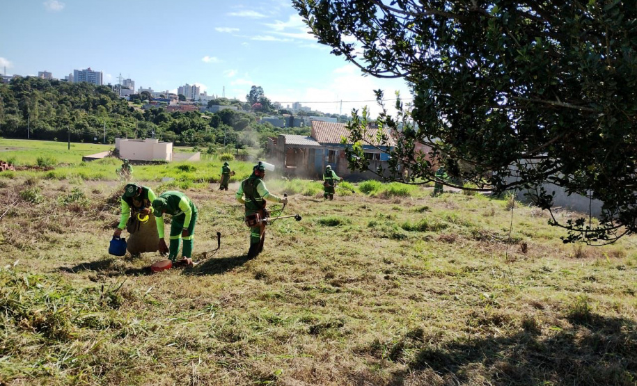 Limpeza e conscientização: ações do Dia D da dengue acontecem em todo o Paraná neste sábado