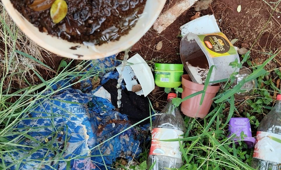 Limpeza e conscientização: ações do Dia D da dengue acontecem em todo o Paraná neste sábado