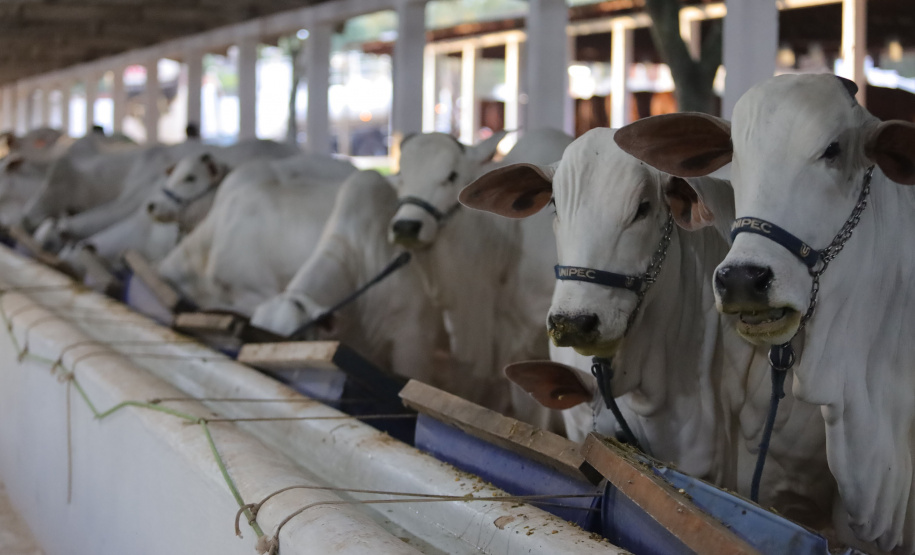 CONVÊNIO ADAPAR/FAEP