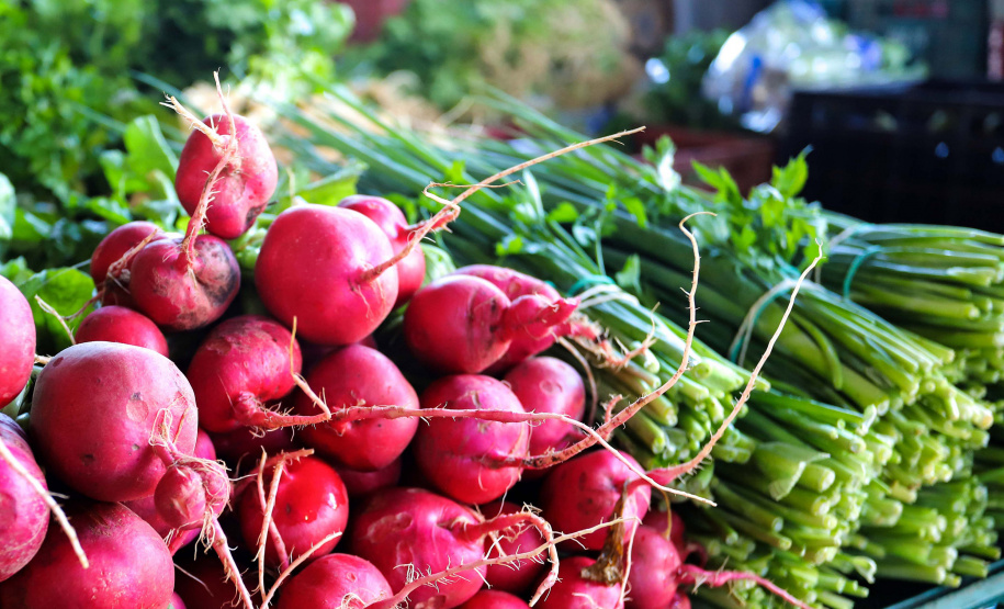 Políticas do Estado ampliam acesso à alimentação saudável no combate à obesidade