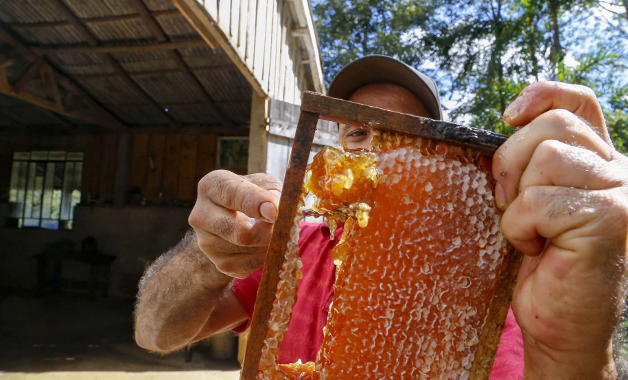 IDR-Paraná promove encontro para discutir a produção de mel durante a Expo Londrina