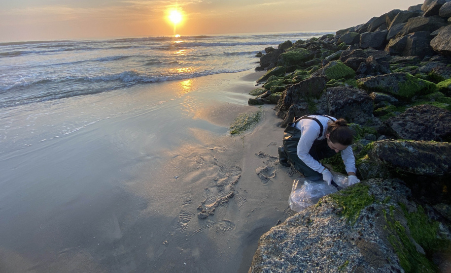 Estruturas marítimas construídas em Matinhos começam a ser colonizadas pela fauna incrustante