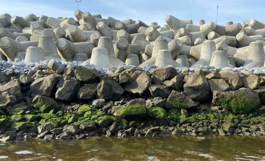 Estruturas marítimas construídas em Matinhos começam a ser colonizadas pela fauna incrustante