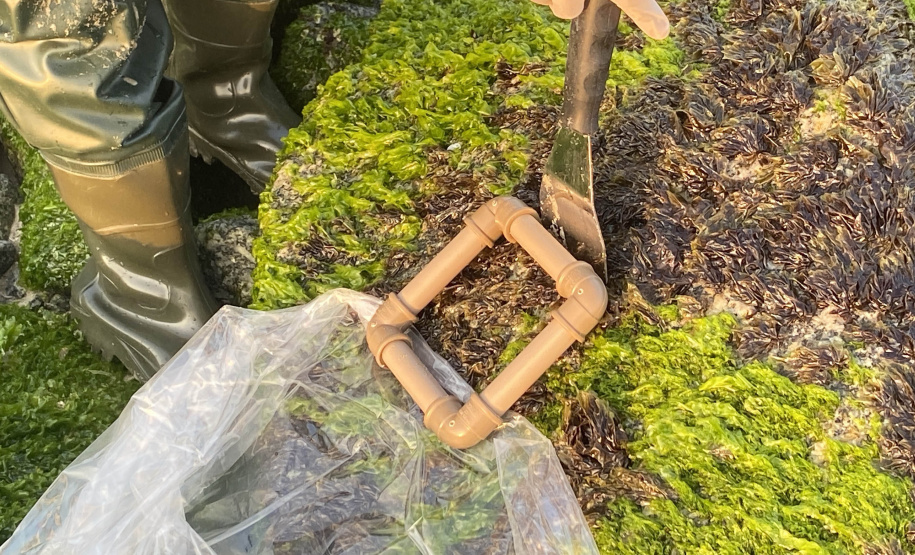 Estruturas marítimas construídas em Matinhos começam a ser colonizadas pela fauna incrustante