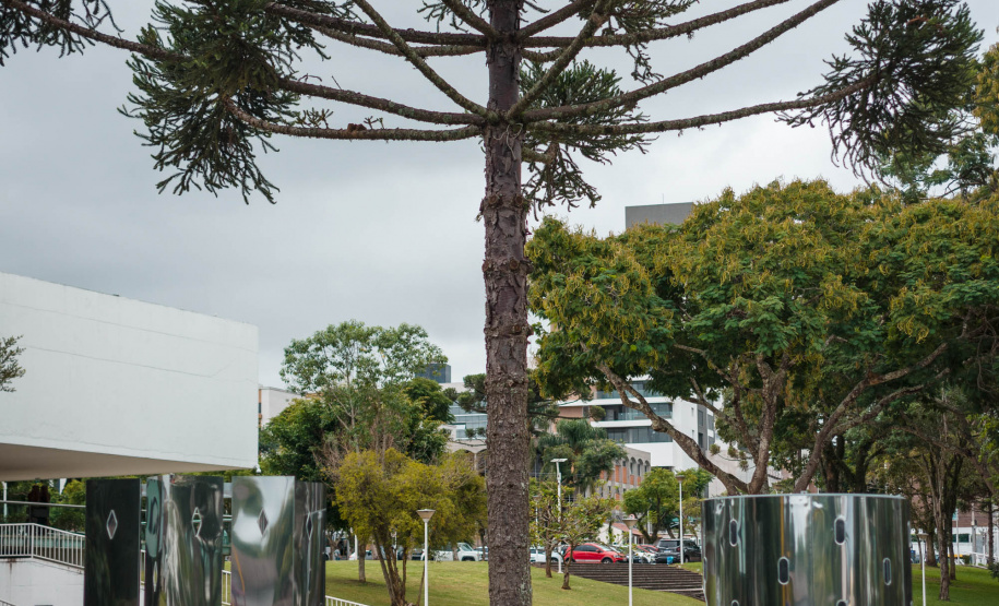 MON sem Paredes” é a mais nova realização do Museu Oscar Niemeyer