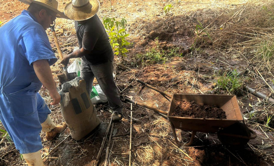 Recuperação de nascentes é uma das atividades programadas pelo IAT para a semana da água.