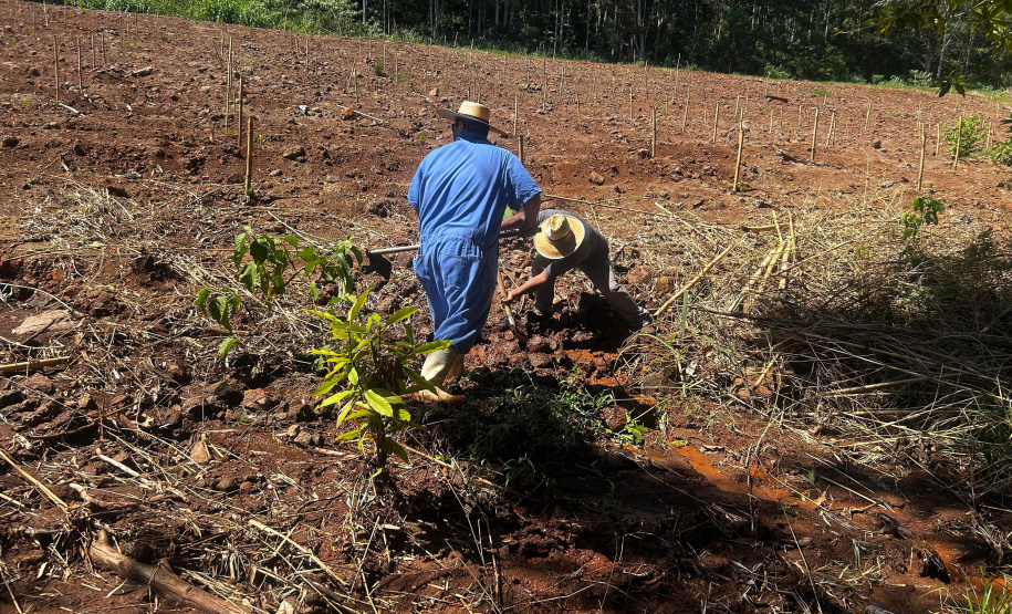 Recuperação de nascentes é uma das atividades programadas pelo IAT para a semana da água.