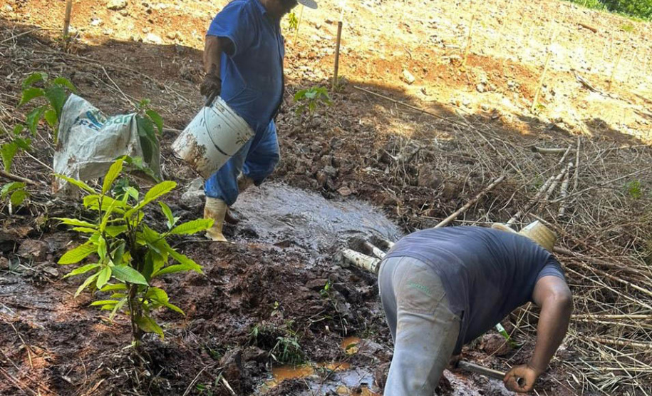 Recuperação de nascentes é uma das atividades programadas pelo IAT para a semana da água.